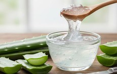 6 lợi ích tuyệt vời của gel lô hội với sức khoẻ làn da