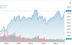 Xu hướng chứng khoán 23/12, tăng dần tỷ trọng cổ phiếu