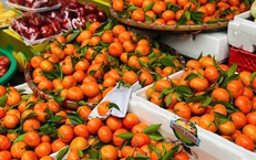 Tiểu thương 'tiết lộ' nguồn gốc thực sự của một loại cam đang bán tràn ngập chợ Việt