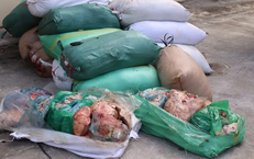 Bắt giữ hơn 2 tấn nội tạng động vật không rõ nguồn gốc đang trên đường đi tiêu thụ