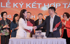 Tinh hoa thảo mộc cho mỗi ngày thêm khỏe mạnh