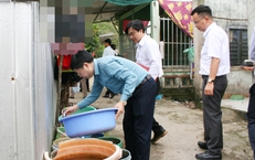 Bộ Y tế kiểm tra công tác phòng, chống sốt xuất huyết tại An Giang, Cà Mau