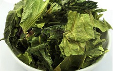 3 bài thuốc từ lá dâu tốt cho người bệnh tiểu đường