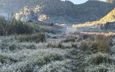 Sương m&#249; phủ trắng quốc lộ, băng gi&#225; xuất hiện ở v&#249;ng bi&#234;n Nghệ An