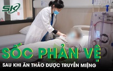 Ăn thảo dược truyền miệng, 2 người sốc phản vệ nghiêm trọng