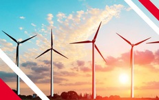 Một mã trái phiếu của Công ty Cổ phần BB Sunrise Power bị báo cáo vi phạm