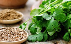 5 loại thực phẩm giúp thận lọc độc tố hiệu quả