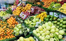 Một loại cam Việt vào mùa giá rẻ chỉ hơn chục nghìn đồng/kg, tiểu thương nhập hàng tạ mỗi ngày phục vụ khách quý