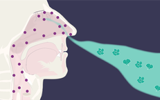 Tăng sức đề kháng để phòng bệnh tai mũi họng trong mùa đông