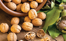 Hạt &#243;c ch&#243;, yến mạch: Bộ đ&#244;i gi&#250;p ph&#225;t triển tr&#237; n&#227;o, ti&#234;u h&#243;a khỏe mạnh cho trẻ