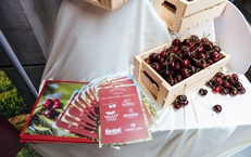 Cherry &#218;c khởi động m&#249;a vụ mới với h&#224;nh tr&#236;nh đưa Cherry tươi từ &#218;c đến Việt Nam chỉ trong 72 giờ