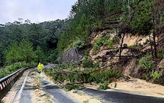 Vết nứt tr&#234;n đ&#232;o D’Ran ph&#225;t triển, Quốc lộ 20 tiếp tục sạt lở