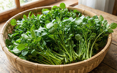 Rau cải xoong c&#243; t&#225;c dụng g&#236;?