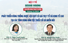Truyền h&#236;nh trực tuyến: Ph&#225;t triển v&#249;ng trồng dược liệu qu&#253; c&#243; gi&#225; trị y tế v&#224; kinh tế cao tại c&#225;c tỉnh v&#249;ng d&#226;n tộc thiểu số v&#224; miền n&#250;i
