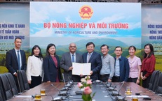 ADB viện trợ 2 triệu USD gi&#250;p Việt Nam khắc phục hậu quả mưa lũ miền Trung