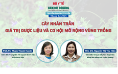 Truyền h&#236;nh trực tuyến: C&#226;y nh&#226;n trần – Gi&#225; trị dược liệu v&#224; cơ hội mở rộng v&#249;ng trồng