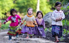 Đề xuất bố tr&#237; 10–12% kinh ph&#237; hằng năm cho bổ sung  dinh dưỡng v&#224; chống b&#233;o ph&#236;, thấp c&#242;i