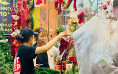 Th&#244;ng tươi gi&#225; rẻ được chị em ‘săn đ&#243;n’ trang tr&#237; dịp Gi&#225;ng sinh 2025