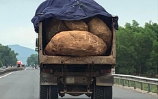 Truy t&#236;m xe tải l&#224;m rơi đ&#225; khiến 2 người thương vong ở L&#226;m Đồng