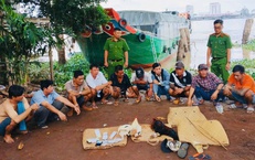 Đột k&#237;ch tụ điểm đ&#225; g&#224; ăn tiền, bắt 10 đối tượng