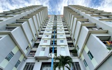 Tin vui đối với người muốn mua nh&#224; ở x&#227; hội, người dưới 35 tuổi thu&#234;, mua nh&#224; ở