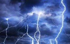 Chuy&#234;n gia n&#243;i về hơn 23 ngh&#236;n c&#250; s&#233;t đ&#225;nh s&#225;ng nay ở miền Bắc