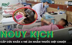 Ăn nhầm thuốc diệt chuột, 4 trẻ nguy kịch phải cấp cứu khẩn
