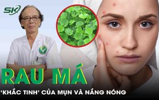 Rau m&#225; - ‘Khắc tinh’ của mụn v&#224; nắng n&#243;ng theo y học cổ truyền 