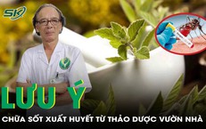 Chữa sốt xuất huyết bằng thảo dược, những điều cần lưu &#253;
