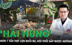 ‘H&#227;i h&#249;ng’ hơn 1 tấn thịt lợn xuất huyết, h&#244;i thối chuẩn bị l&#234;n l&#242; nướng, chuy&#234;n gia cảnh b&#225;o