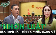 ĐBQH kiến nghị kh&#244;ng để quảng c&#225;o sai, h&#224;ng giả, h&#224;ng nh&#225;i ‘nhờn luật’