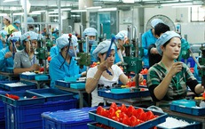 Ph&#225;t triển kinh tế tư nh&#226;n: Coi doanh nghiệp l&#224; đối tượng &#39;phục vụ&#39; thay v&#236; đối tượng &#39;quản l&#253;&#39;