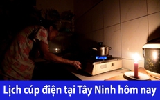 Tra cứu lịch c&#250;p điện h&#244;m nay Thứ 5 ng&#224;y 8/5/2025 tại T&#226;y Ninh