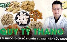 Quy Tỳ Thang: B&#224;i thuốc Đ&#244;ng y gi&#250;p bổ tỳ, kiện vị v&#224; cải thiện sức khỏe