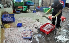 L&#242;ng se điếu: Đặc sản tiền triệu hay nguy cơ từ h&#243;a chất?