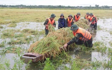 Những h&#236;nh ảnh thắm t&#236;nh qu&#226;n d&#226;n trong đợt mưa lũ bất thường giữa m&#249;a h&#232;