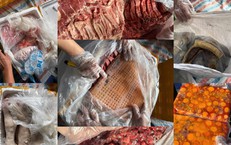 Hơn 20 tấn nội tạng, thịt động vật kh&#244;ng r&#245; nguồn gốc bị bắt giữ tại Nam Định