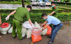 Ph&#225;t hiện gần 1 tấn nội tạng động vật trong t&#236;nh trạng ph&#226;n hủy tr&#234;n đường vận chuyển về H&#224; Nội ti&#234;u thụ