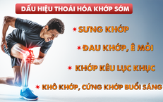 Tiếp cận sớm trong xử l&#253; tho&#225;i h&#243;a khớp sớm - Liệu ph&#225;p miễn dịch dung nạp đường uống với collagen Collavant&#174; n2