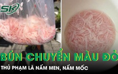 Mua b&#250;n trắng v&#224;i giờ sau h&#243;a đỏ: Nấm men, nấm mốc l&#224; thủ phạm 