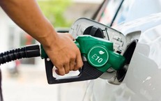 Xăng sinh học sẽ thay thế ho&#224;n to&#224;n xăng kho&#225;ng tr&#234;n thị trường