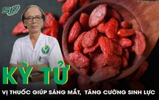 Kỳ tử: Vị thuốc bổ can thận, s&#225;ng mắt, tăng cường sinh lực