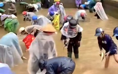 Thực hư thông tin nhiều người thi nhau bắt cá tầm, bỏ mặc sự cầu xin của chủ nhà ở Lào Cai