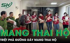Triệt ph&#225; đường d&#226;y mang thai hộ do người Trung Quốc cầm đầu, giải cứu 11 trẻ
