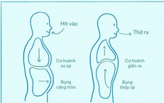 C&#225;ch dưỡng sinh gi&#250;p cơ thể khỏe mạnh, tinh thần thư th&#225;i trong m&#249;a thu