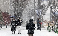 Tuyết rơi dày tại Hàn Quốc