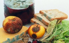 Thực phẩm bẩn có thể gây ra những bệnh ung thư nào?