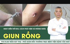 [LIVE] Giun rồng nguy hiểm thế nào, cách phát hiện và phòng ngừa
