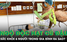Tình trạng sức khỏe 6 người trong gia đình nhập viện vì ngộ độc hạt củ đậu