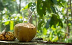 Cách giảm axit uric đơn giản tại nhà